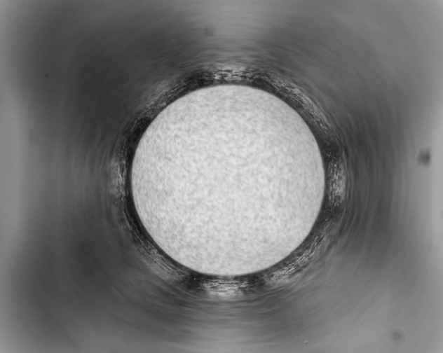 X0000103440661200810031414