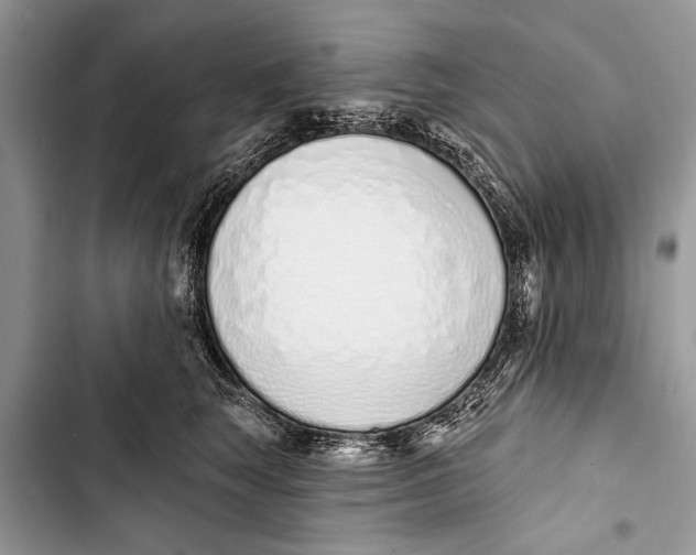 X0000103440663200810031414