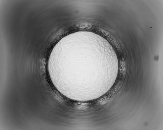 X0000103440664200810031414