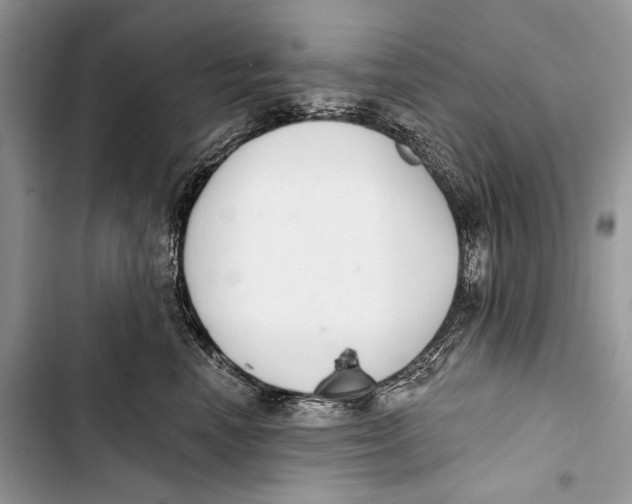 X0000103440666200810031414