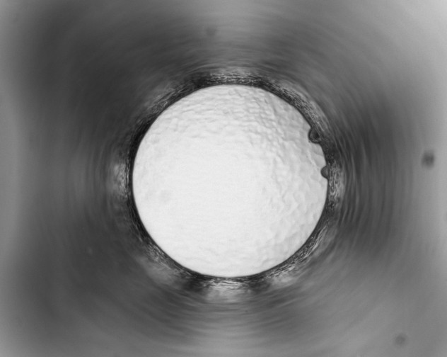 X0000103440669200810031414