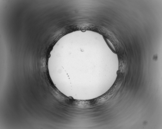 X0000103440670200810031414