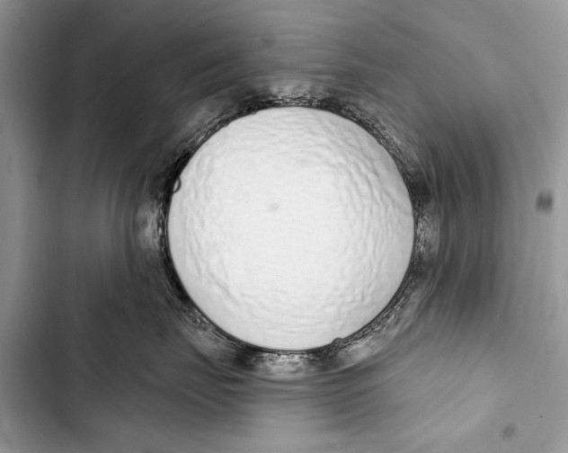X0000103440671200810031414