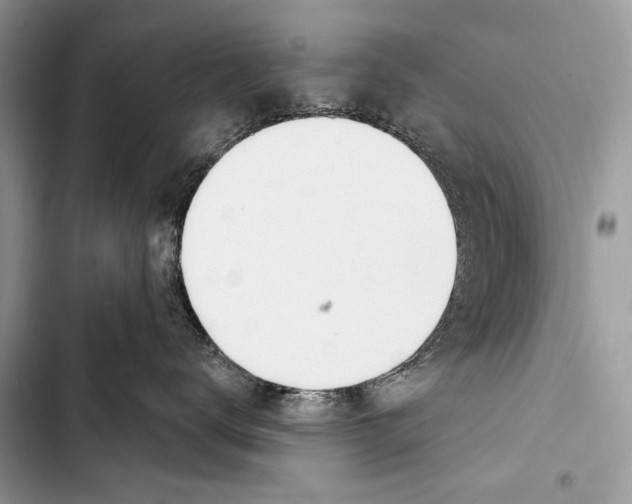 X0000103440672200810031414