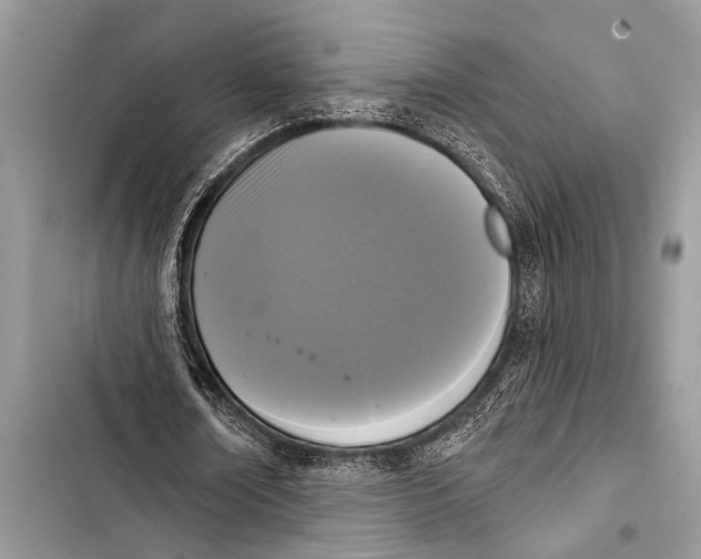 X0000103440674200810031414