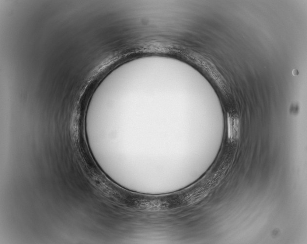X0000103440675200810031414