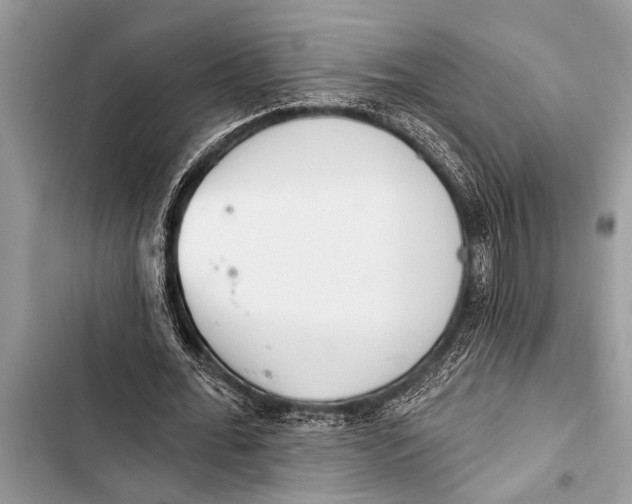 X0000103440676200810031414