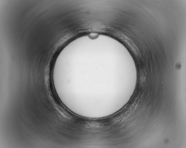 X0000103440677200810031414