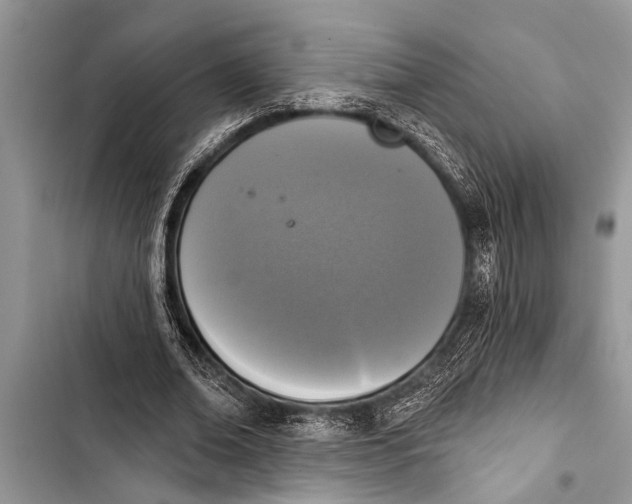X0000103440678200810031414