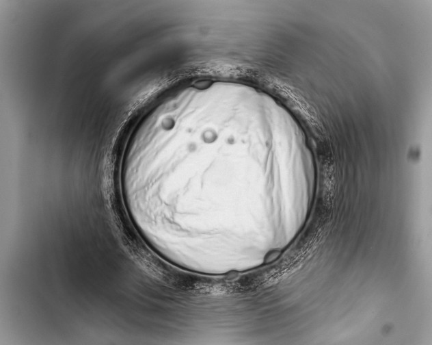 X0000103440679200810031414