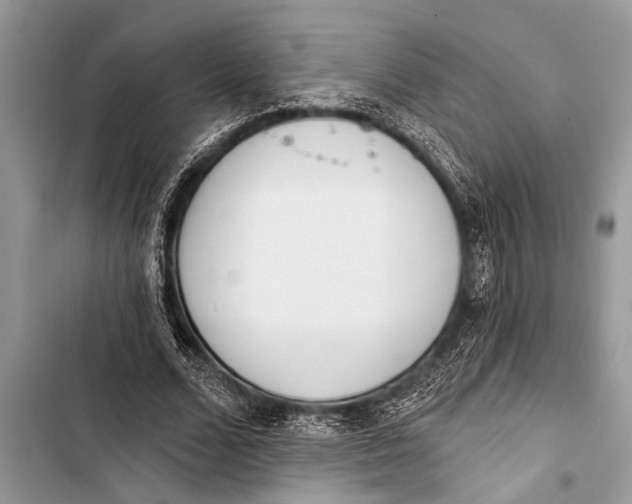 X0000103440680200810031414