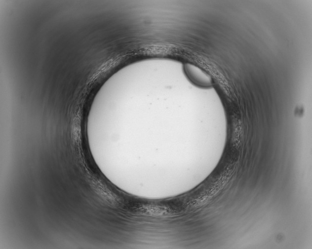X0000103440681200810031414