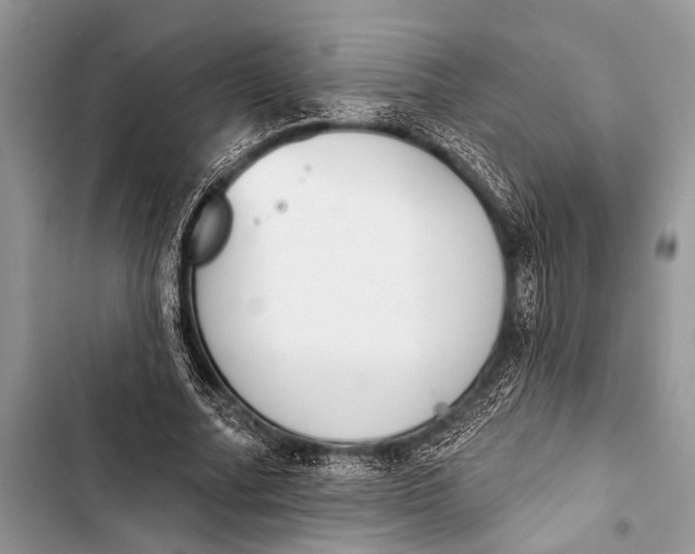 X0000103440682200810031414