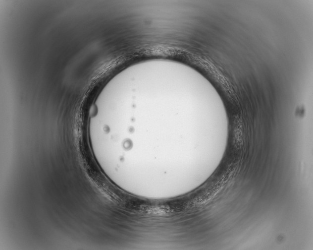 X0000103440683200810031413