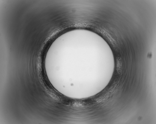 X0000103440684200810031413