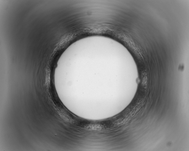 X0000103440685200810031413