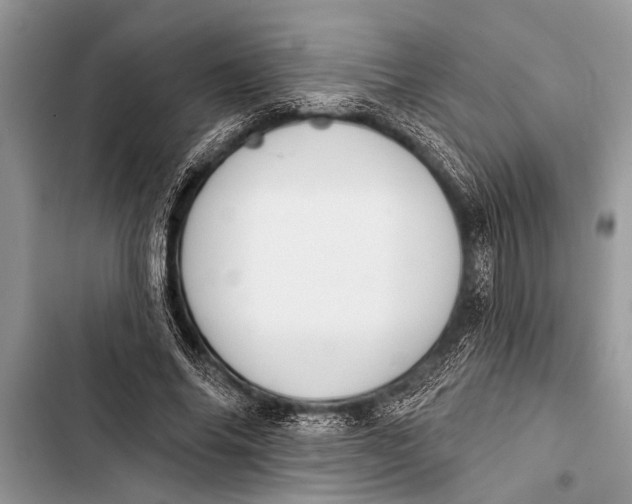X0000103440686200810031413