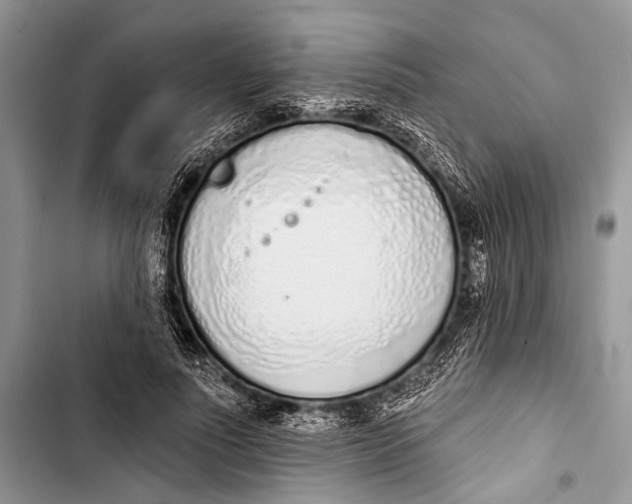 X0000103440691200810031413