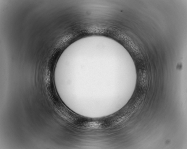 X0000103440692200810031413