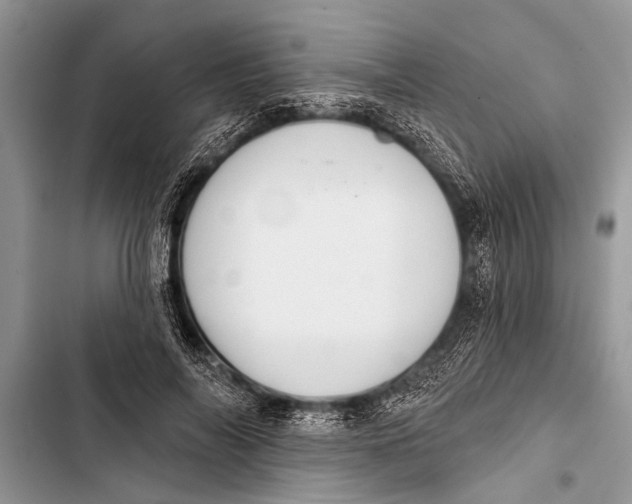 X0000103440694200810031413