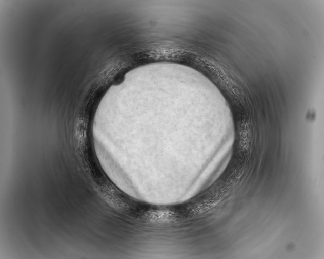 X0000103440695200810031413