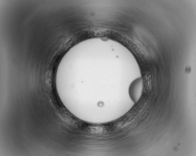 X0000103440698200810031413