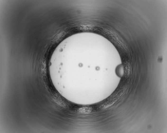 X0000103440700200810031413
