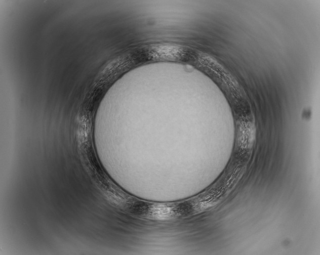 X0000103440701200810031413