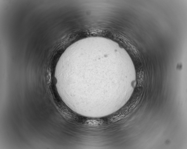 X0000103440703200810031413