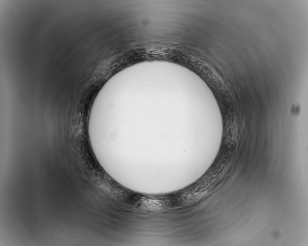 X0000103440706200810031413