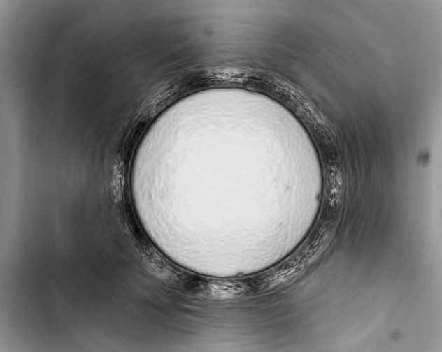 X0000103440707200810031413