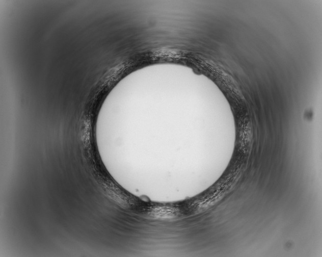 X0000103440708200810031413