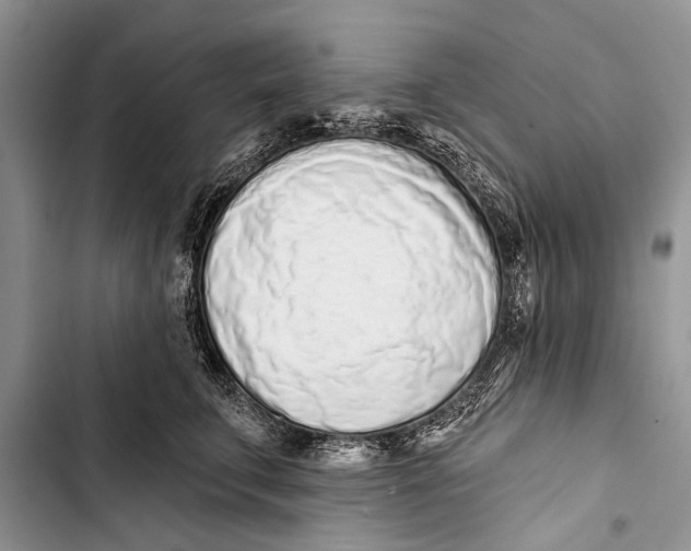 X0000103440711200810031413