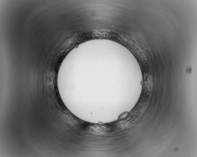 X0000103440712200810031413