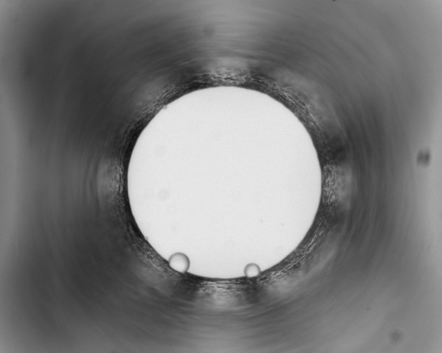 X0000103440713200810031413
