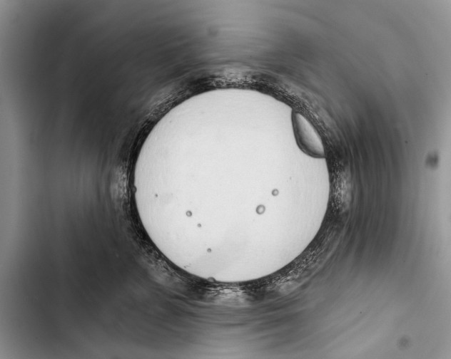 X0000103440715200810031413