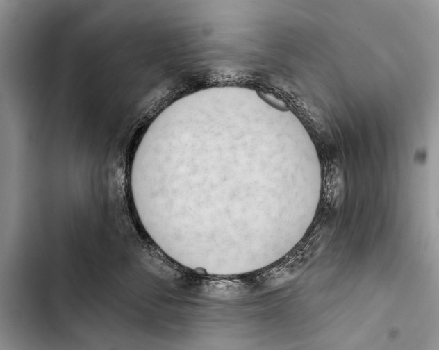 X0000103440716200810031413