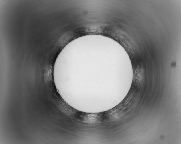 X0000103440717200810031413