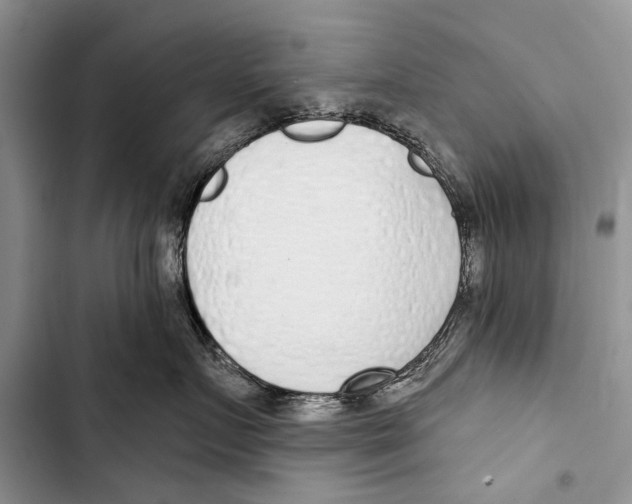 X0000103440719200810031413
