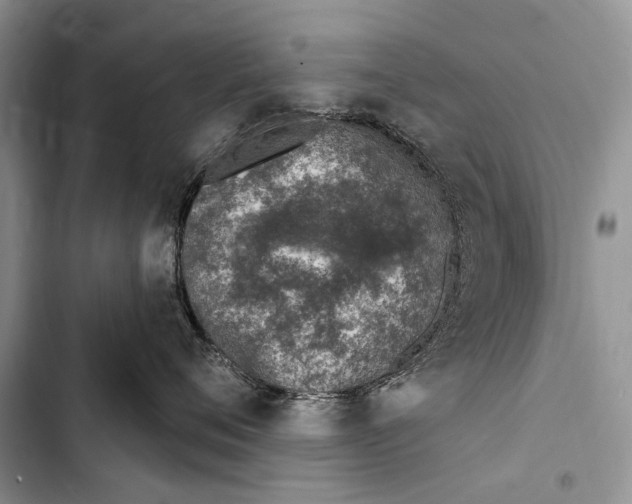 X0000103440720200810031413