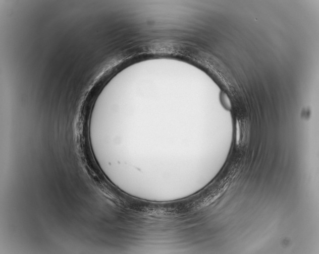 X0000103440723200810031412
