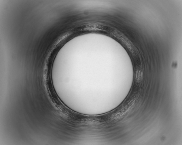 X0000103440724200810031412