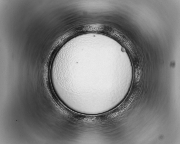 X0000103440725200810031412
