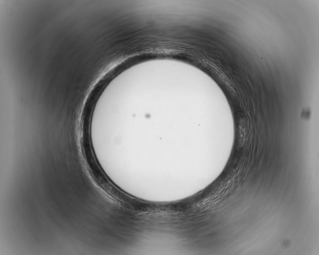 X0000103440726200810031412