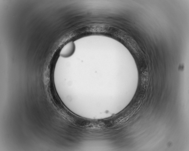 X0000103440727200810031412