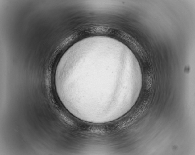 X0000103440729200810031412