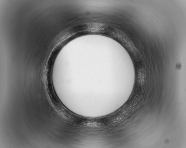 X0000103440730200810031412