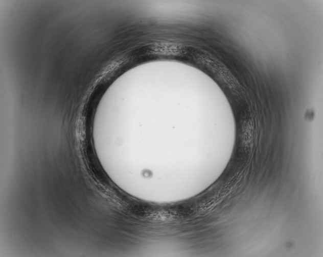 X0000103440731200810031412