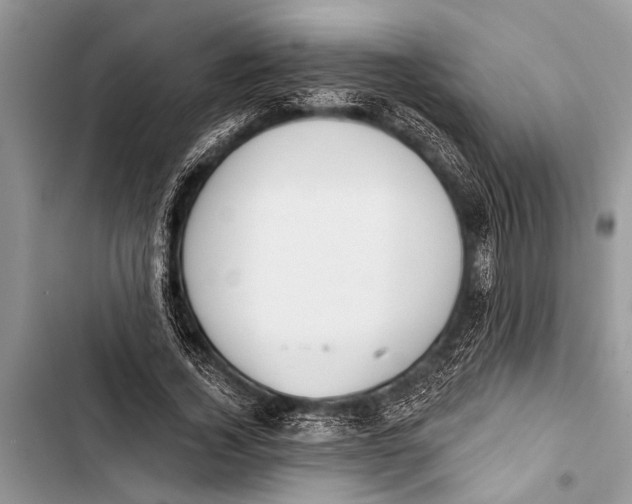 X0000103440732200810031412