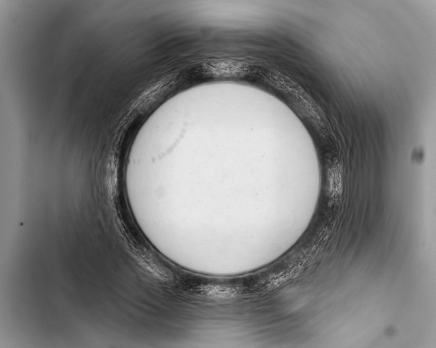 X0000103440733200810031412